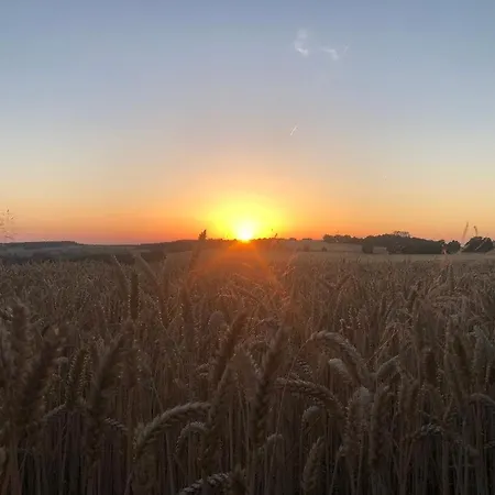 Apartment Auf Dem Bauernhof In Hof Kleeberg Ii Hachenburg