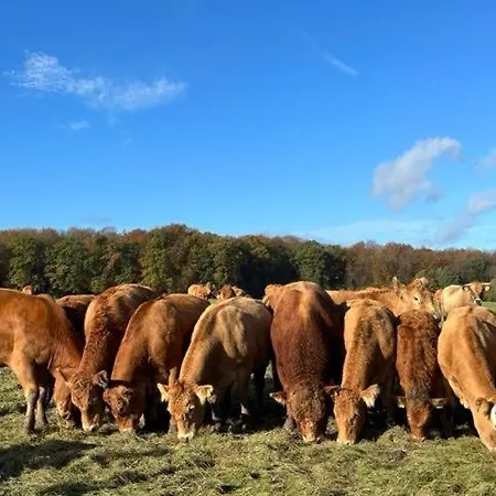 Auf Dem Bauernhof In Hof Kleeberg Ii * Hachenburg