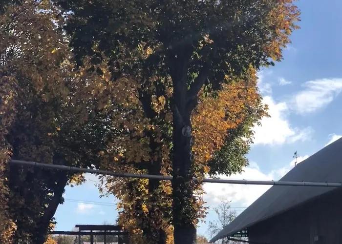 Auf Dem Bauernhof In Hof Kleeberg Ii דירה הכנבורג