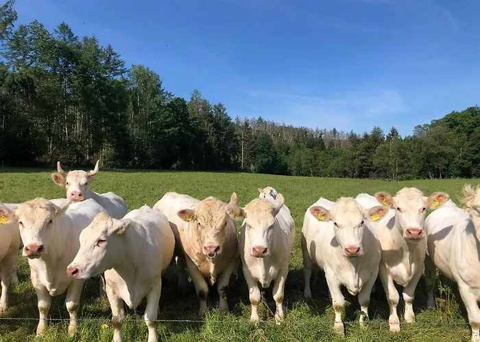Auf Dem Bauernhof In Hof Kleeberg Ii *