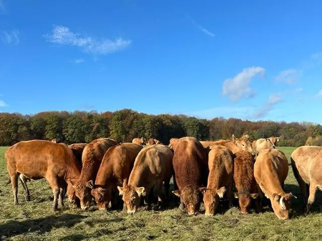 Auf Dem Bauernhof In Hof Kleeberg Ii * הכנבורג