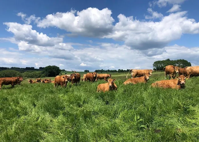 Auf Dem Bauernhof In Hof Kleeberg Ii